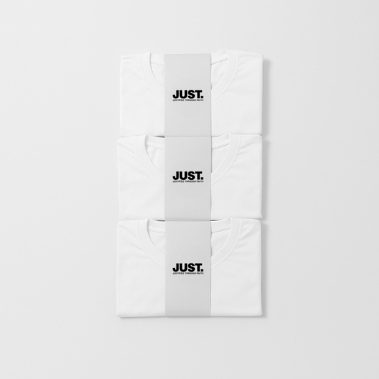 Kit 3 Camisetas Grace Regular